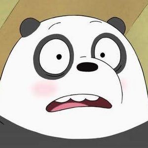 Meet your Posher, Bora